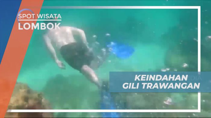 Berenang Menikmati Keindahan Alam Gili Trawangan Lombok
