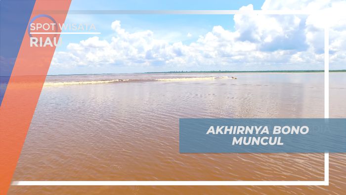 Melihat Dari Dekat Ombak Bono di Sungai Riau