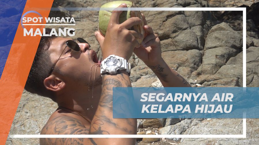 Meneguk Segarnya Air Kelapa Muda di Tepi Pantai Bolu Bolu, Malang