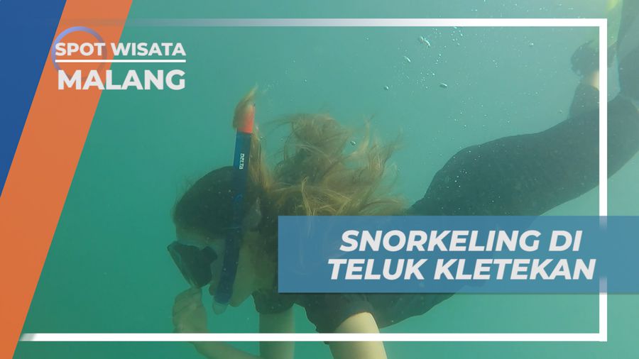 Mengintip Surga Bawah Laut Teluk Kletekan yang Mempesona, Malang