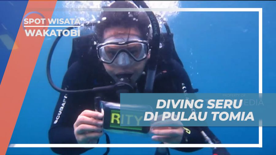 Menikmati Pesona Keindahan Bawah Laut Pulau Tomia, Wakatobi
