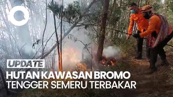 Petugas Pemadam Masih Berjibaku Padamkan Api di TNBTS