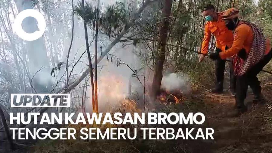 Petugas Pemadam Masih Berjibaku Padamkan Api di TNBTS