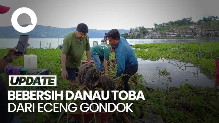 TNI/Polri Bersama Maruarar-Warga Bebersih Eceng Gondok di Danau Toba