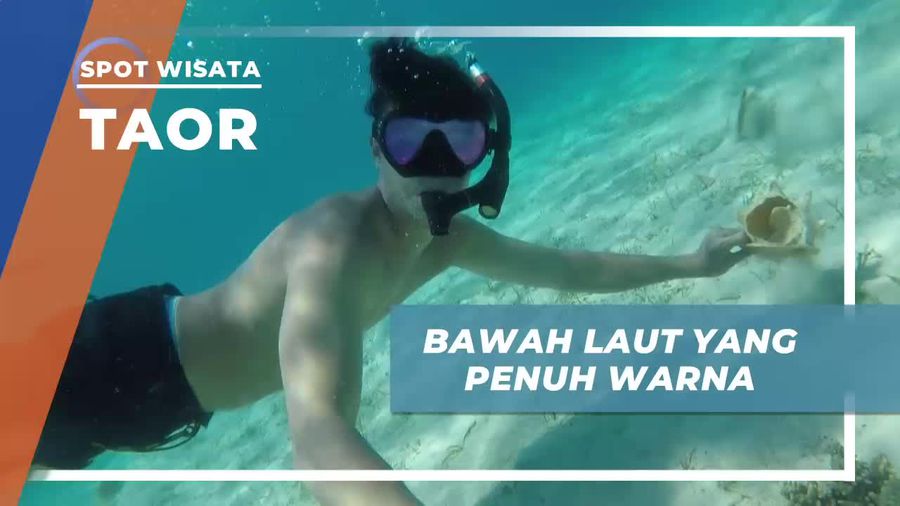 Snorkeling Seru Menikmati Keindahan Bawah Laut Pulau Taor Nusa Tenggara Timur