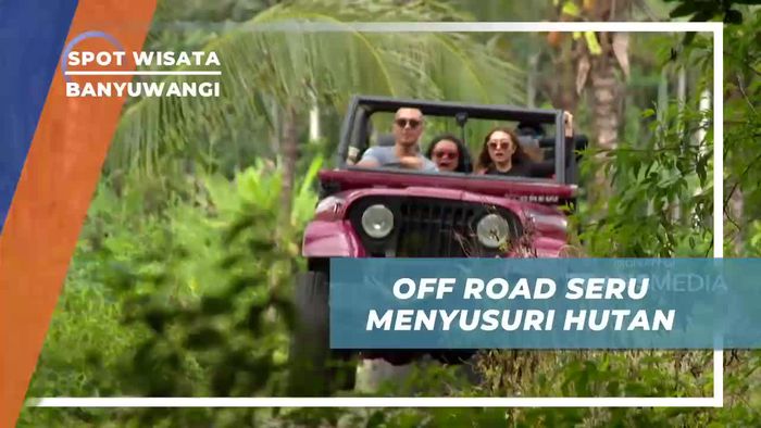 Offroad Seru Menyusuri Hutan Pinus Banyuwangi