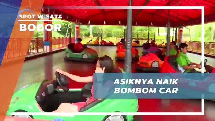 Tabrak-tabrakan Seru Bermain Bombom Car di Jungle Land Bogor