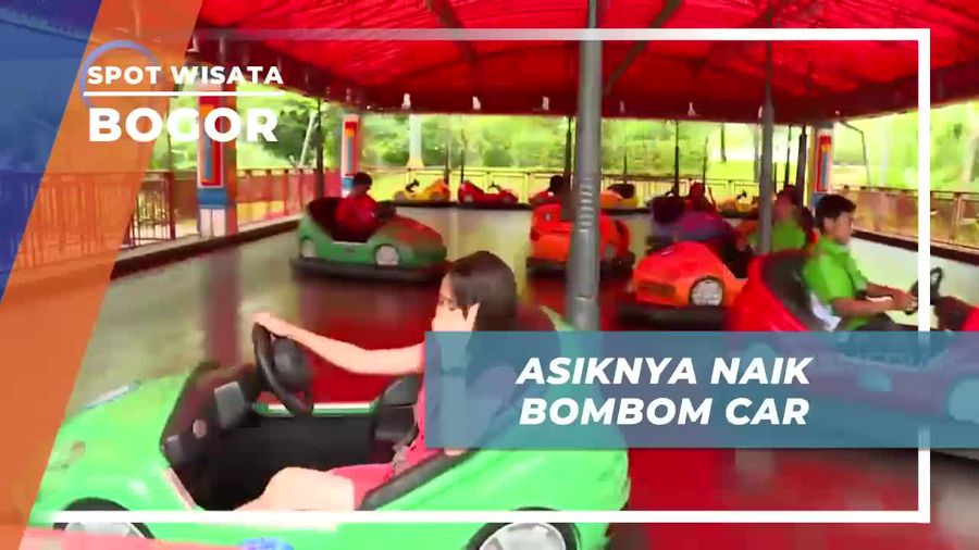 Tabrak-tabrakan Seru Bermain Bombom Car di Jungle Land Bogor