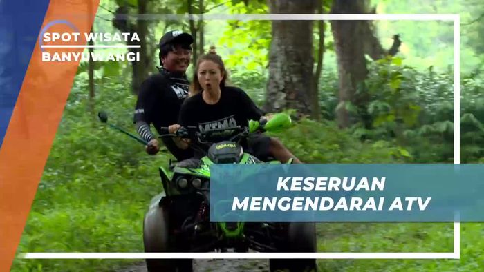 Naik ATV Menyusuri Keindahan Jawatan Benculuk di Banyuwangi
