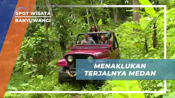 Offroad Menantang Menaklukkan Medan Terjal Hutan Pinus Banyuwangi