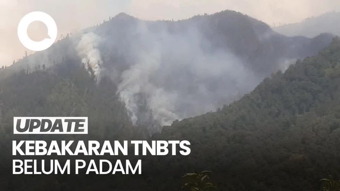 Api Belum Padam, Kebakaran di TNBTS Terkendala Medan dan Sumber Air