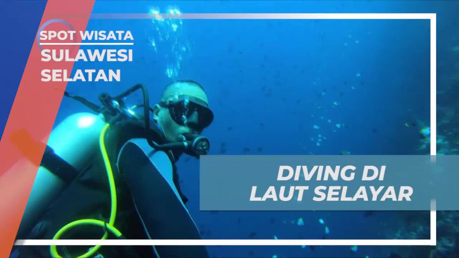 Diving Menyusuri Keindahan Bawah Laut Selayar Sulawesi Selatan
