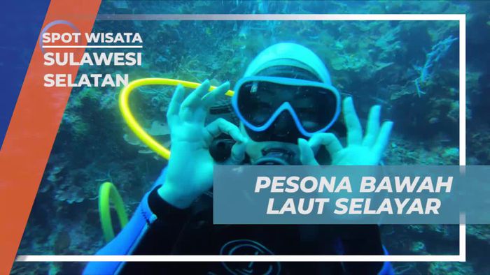 Melihat Karang Indah Tempat Tinggal Ikan Cantik di Selayar Sulawesi Selatan