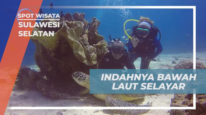 Melihat Aneka Biota Laut Cantik di Selayar Sulawesi Selatan