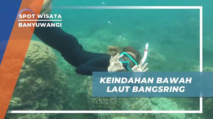 Melihat Keindahan Pesona Bawah Laut Bangsring Banyuwangi