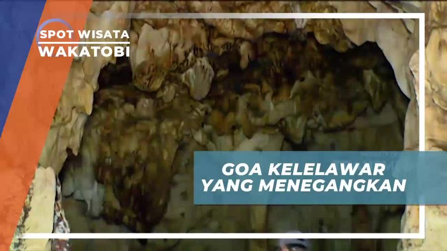 Menjelajahi Goa Kelelawar yang Gelap Di Wakatobi