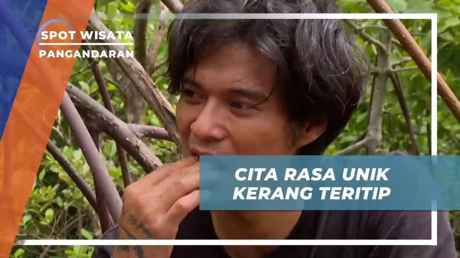 Mangolah Kerang Teritip di Tengah Hutan Bakau Pangandaran