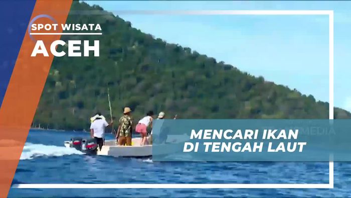 Perjalanan Seru Untuk Bertemu Kawanan Lumba-lumba di Laut Aceh