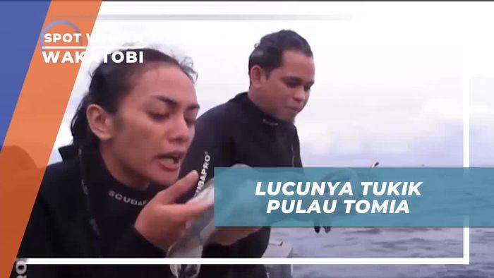 Melepas Tukik ke Alam Liar di Pulau Tomia Wakatobi