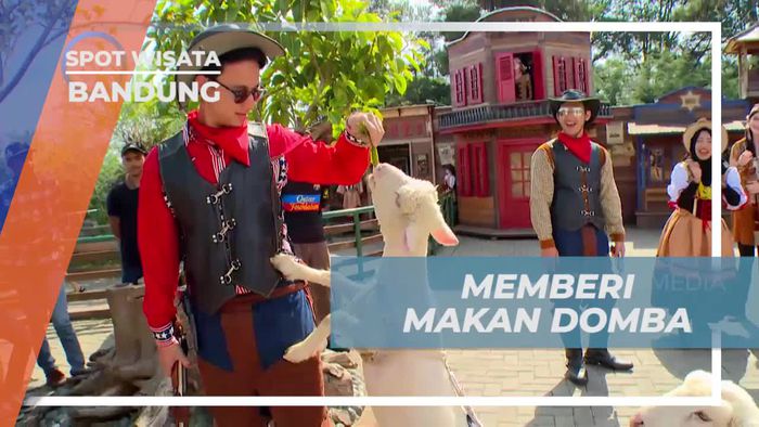 Momen Asik Memberi Makan Domba di Farm House Bandung