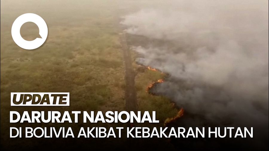 Bolivia Umumkan Darurat Nasional Imbas Kebakaran Hutan Hebat