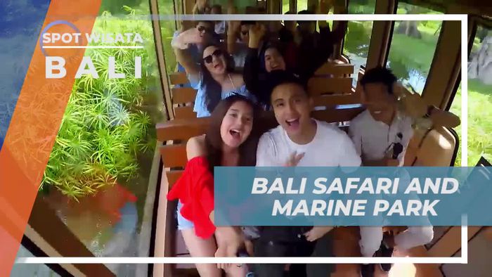 Naik Mobil Khusus Menyusuri Bali Safari and Marine Park