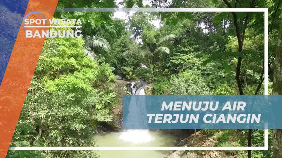 Perjalanan Menuju Air Terjun Ciangin, Keindahan Alam Hijau di Bandung