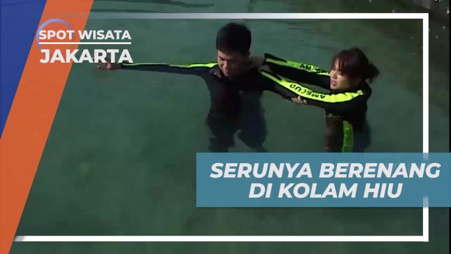 Momen Menegangkan Berenang Bersama Hiu di Kolam, Jakarta