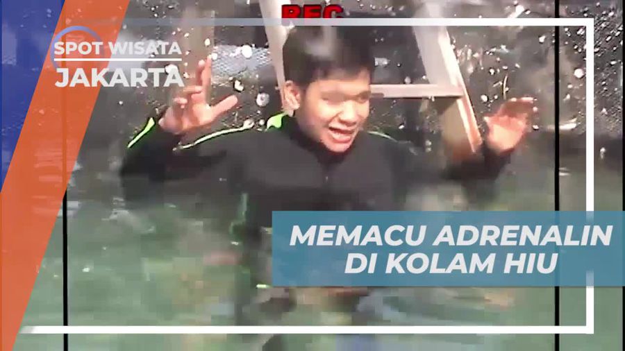 Melawan Rasa Takut Dengan Masuk ke Kolam Hiu, Jakarta