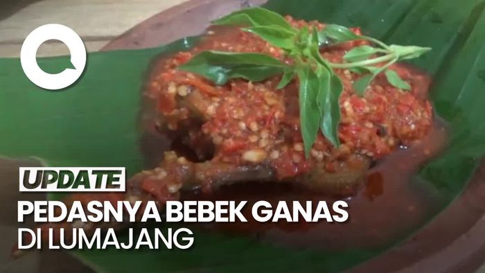 Pedas Menyala! Bebek Ganas dengan 60 Cabe Rawit