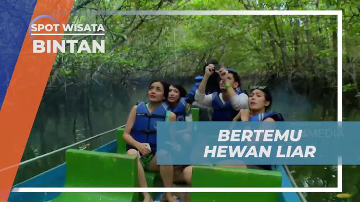 Bertemu Hewan Liar Saat Menelusuri Hutan Mangrove di Bintan