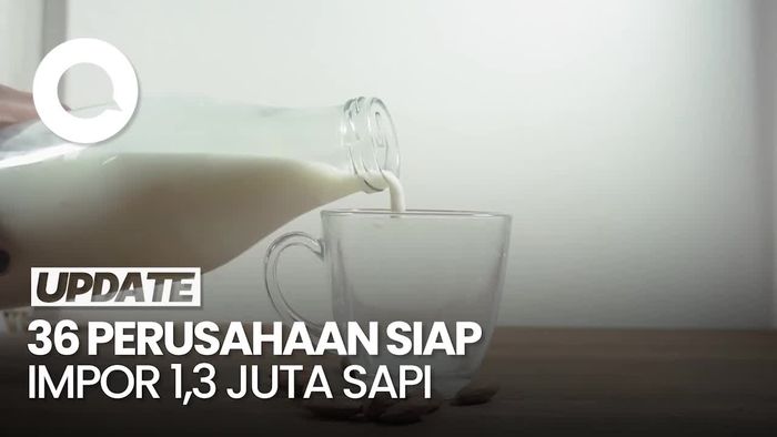 Kementan Gandeng 36 Perusahaan Siap Impor Sapi untuk Susu Gratis