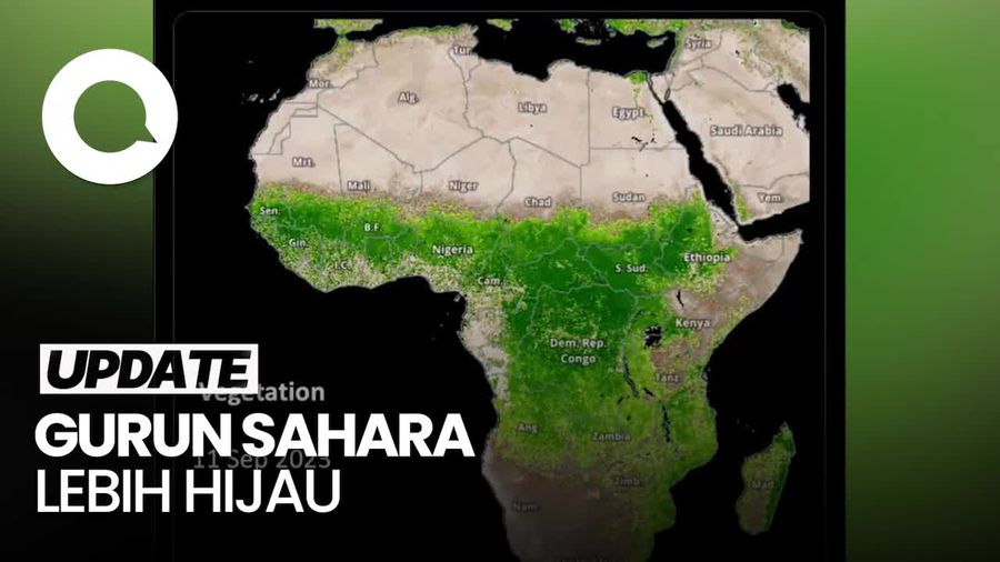Gurun Sahara Mulai Menghijau, Kenapa Ya?
