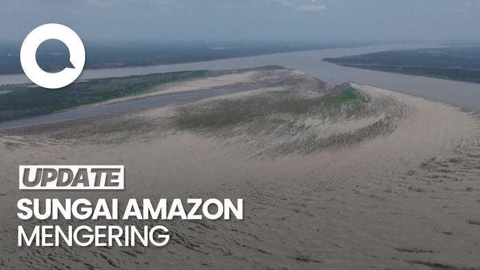 Penampakan Sungai Amazon yang Dilanda Kekeringan Terparah
