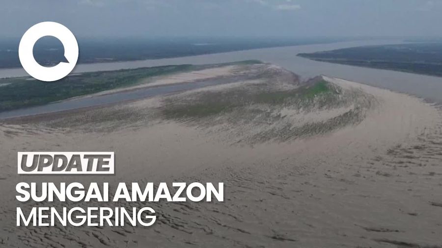 Penampakan Sungai Amazon yang Dilanda Kekeringan Terparah