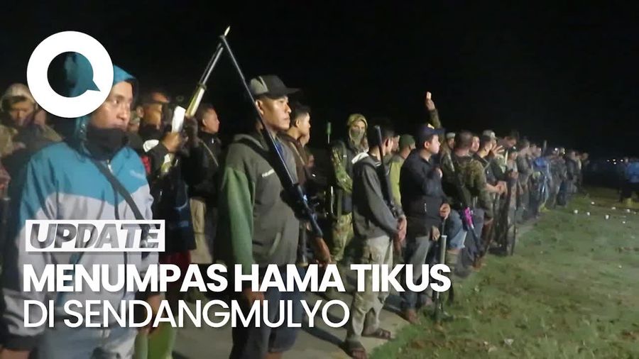 Aksi Sniper Senapan Angin Berburu Hama Tikus Penyebab Gagal Panen
