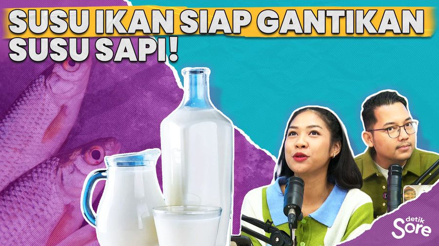 Ternyata Ini Asal Muasal Susu Ikan!