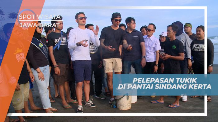Melepaskan Tukik untuk Konservasi di Pantai Sindang Kerta