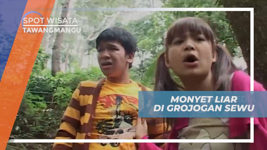 Berkeliling Grojogan Sewu dan Monyet Liar di Tawangmangu