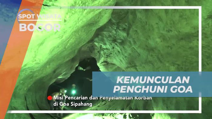 Menemui Penghuni Goa Saat Menjelajah di Bogor