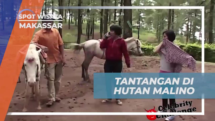 Mencari Pemilik Warung dengan Kuda di Makassar