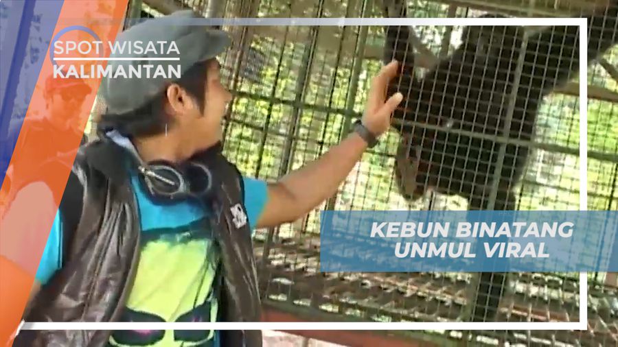 Menjelajahi Kebun Binatang Unmul dengan Koleksi Binatang Buas di Kalimantan