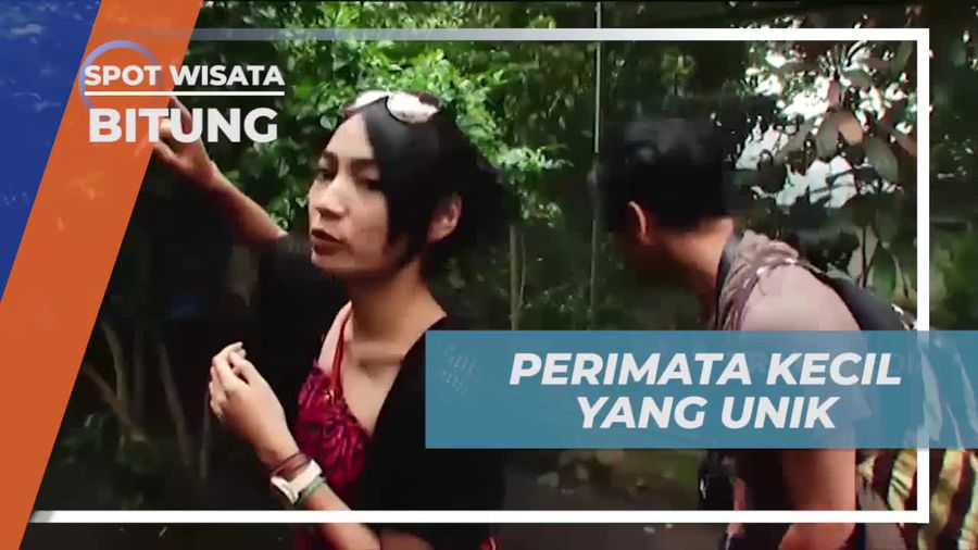 Menemukan Tarsius Kecil yang Unik di Taman Marga Satwa Tandurusa, Bitung