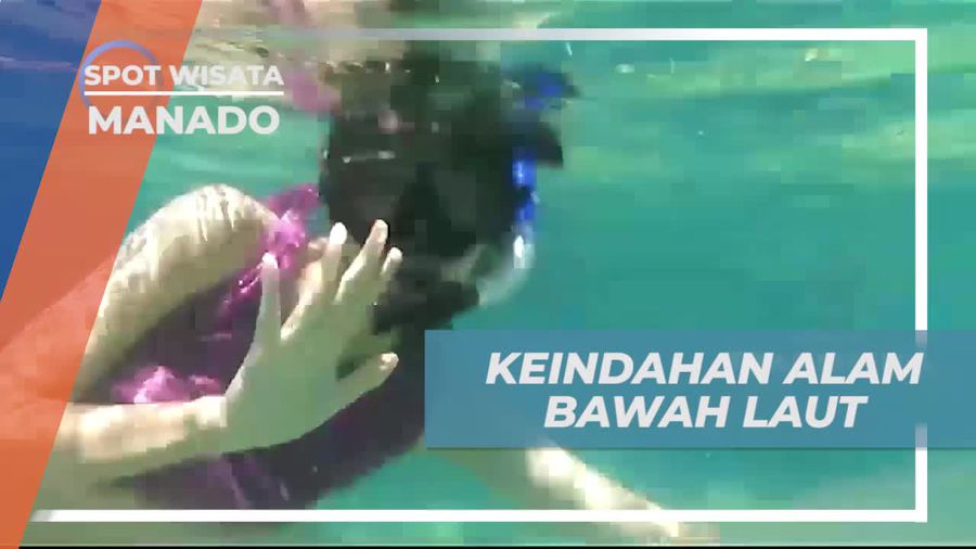 Menyelami Keindahan Alam Bawah Laut Bunaken, Manado