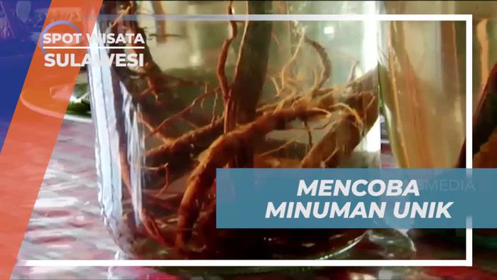 Mencoba Minuman Unik dari Tangkur Buaya di Sulawesi Utara
