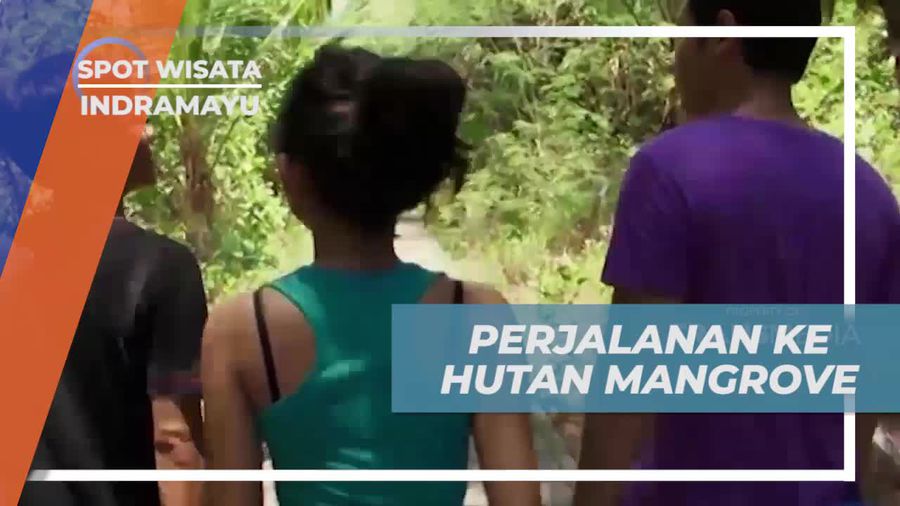 Menjelajahi Keindahan Hutan Mangrove di Indramayu
