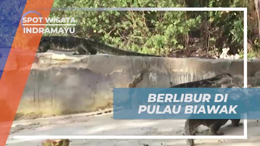 Menikmati Liburan di Pulau Biawak, Indramayu
