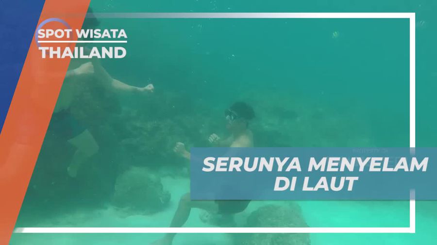 Menjelajahi Keindahan Laut Thailand Dengan Aktivitas Menyelam