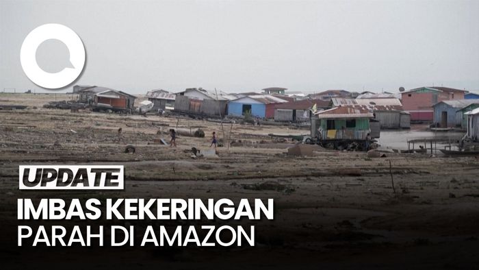 Potret Nelangsa Kehidupan di Tengah Kekeringan Parah Amazon