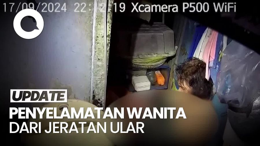 Momen Dramatis Penyelamatan Wanita yang Sudah 2 Jam Dililit Ular